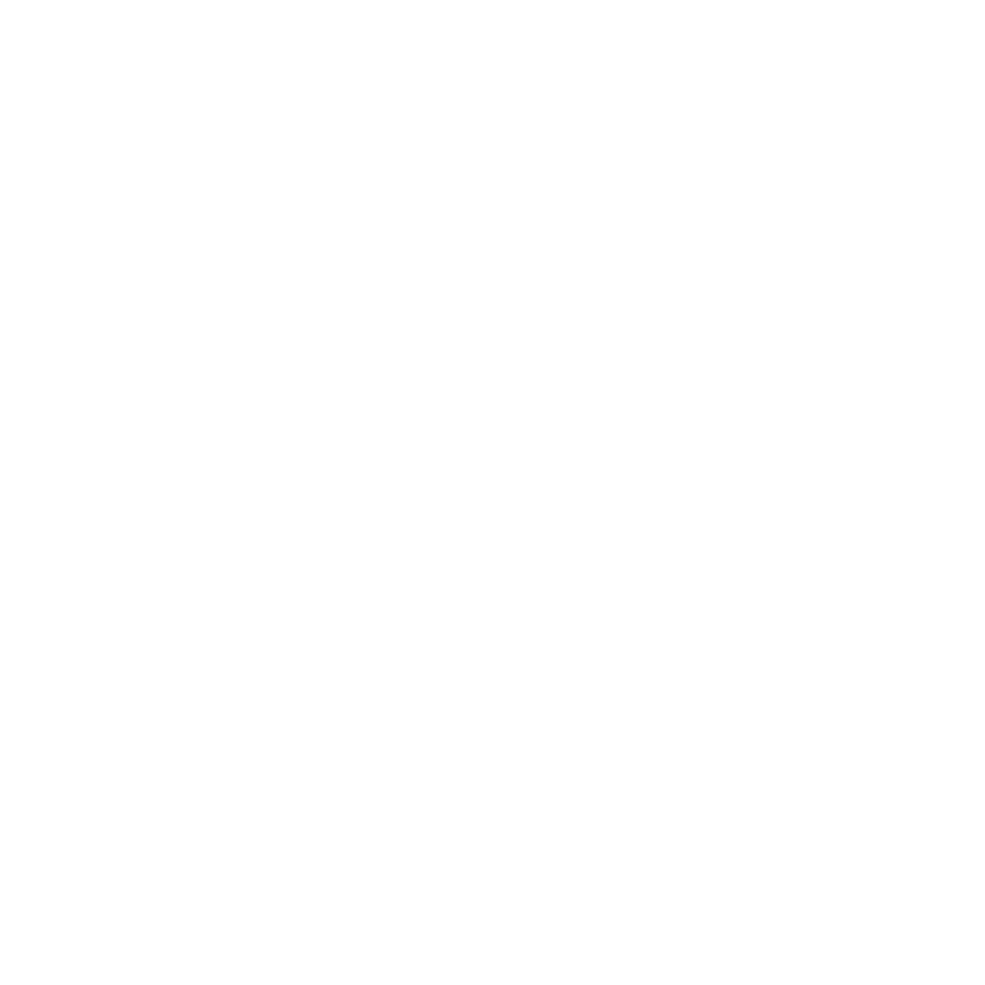 VIDEO SURVEILLANCE ICON