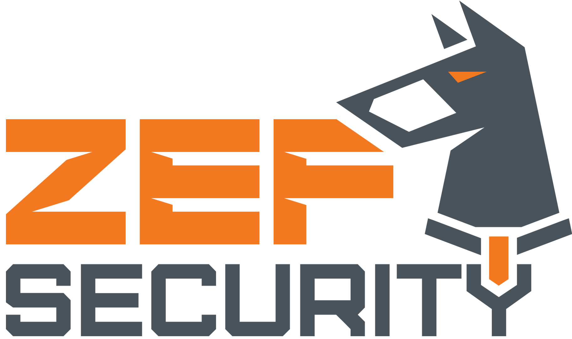 zef security logo